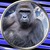 Coin Images.Coingecko.Com
